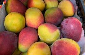 Mangos